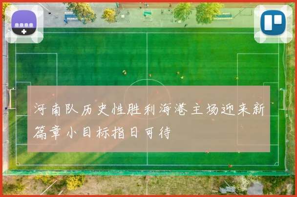 河南队历史性胜利海港主场迎来新篇章小目标指日可待